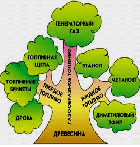 биоэнергетика 2.jpg